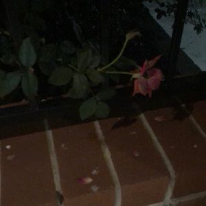 Meet your Posher, Krystyna